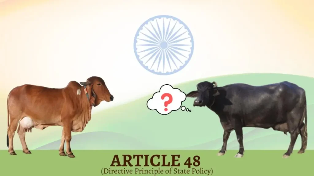 Article 48 Cow Protection