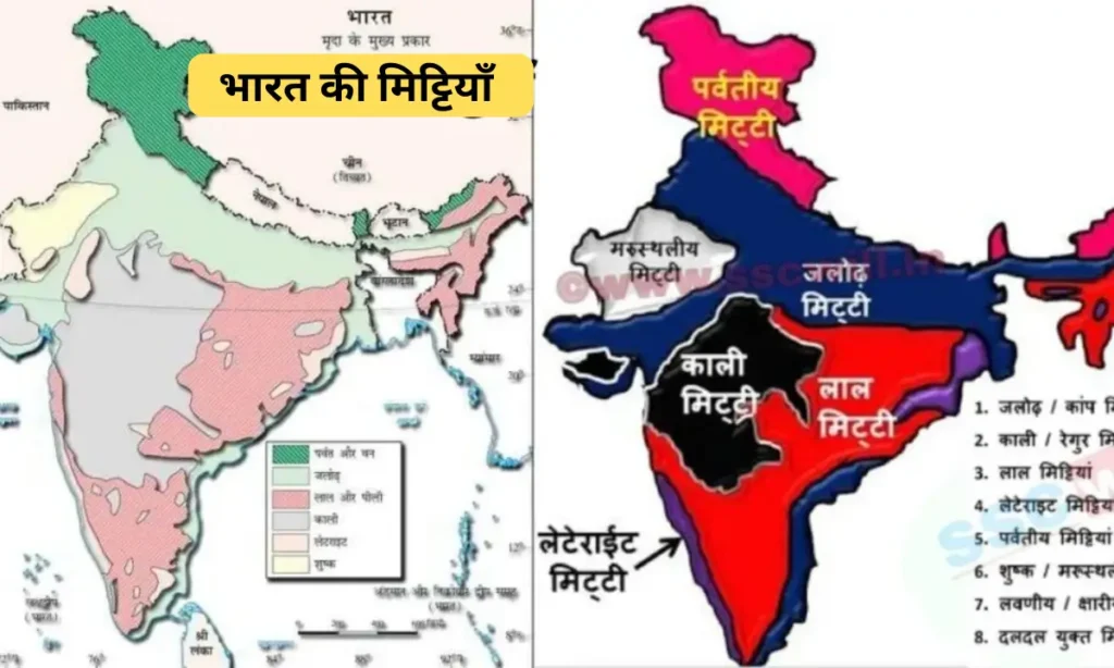 भारत की मिट्टियाँ – प्रकार, और विशेषताएं-हाई स्कूल बोर्ड परीक्षा 2026 के लिए पूरा नोट्स 1 Soils of India